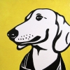 jake