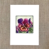 Resilient 5x7