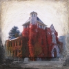 enveloped in autumn