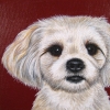 Bailey 5x5