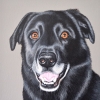 jack 8x10