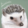 lucinda