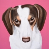 Marley 8x10
