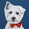 MacDuff
