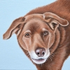 Maggie 6x6 2019