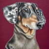 Sophie 8x10