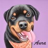 aura