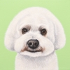bailey 9x9