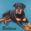 baldwin