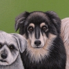 bourne dogs