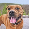 bruno 8x10