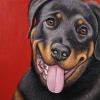 cane