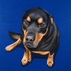 charlie 10x10