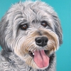 charlie 8x10