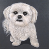 charlie 8x8 square
