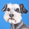 coco 6x8