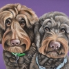 digger & joey