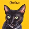 gotham