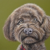 gromit