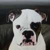 herc