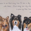 shep-lexy-stella