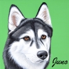 juno