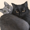 leelu & bella