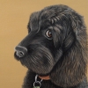 leroy