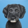 maggie 6x6
