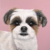 molly