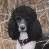 murph