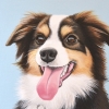 odie