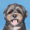ozzie