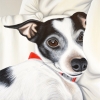 petey 12x12