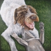 rufus-with-jamie