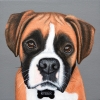 Ryder