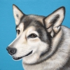 sage 8x8