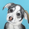 sully 9x7