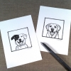 haven & baxter sketches