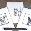nala, storm, & gucci sketches