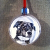 B ornament