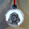 ness ornament