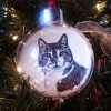 ornament in tree