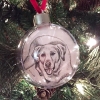 seven ornament