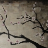 cherry blossoms