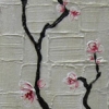 cherry blossoms III