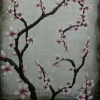 cherry blossoms IV