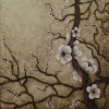 natural blossom close up