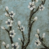 retro blossom