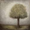 tranquil